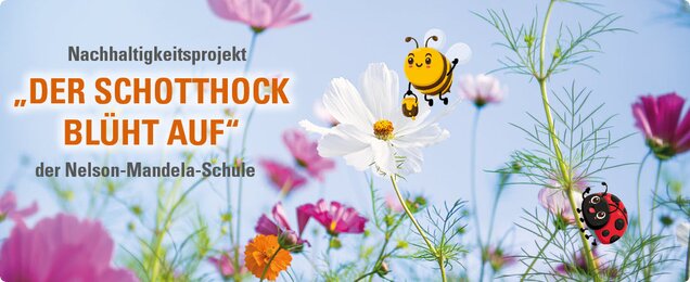 Insekten auf einer blühenden Blumenwiese.